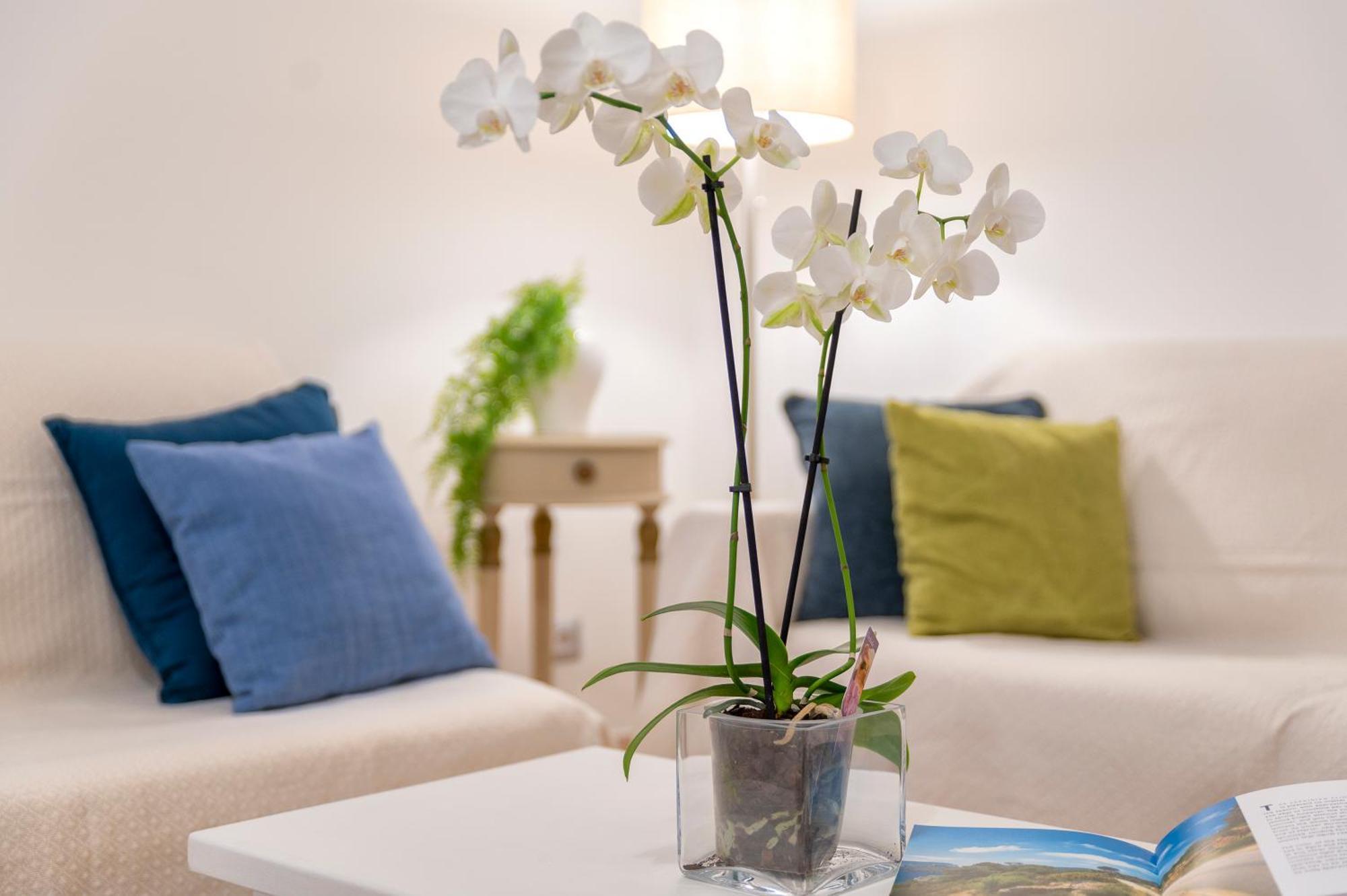 Casa Comoda A Due Passi Dal Lungomare アルゲーロ エクステリア 写真